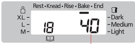 Rest•Knead•Rise•Bake•End XL - L - M- 18 40 - Dark - Medium - Light