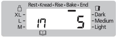 Rest • Knead • Rise • Bake • End XL - L- M- 17 5 - Dark - Medium - Light