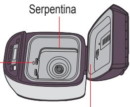Serpentina