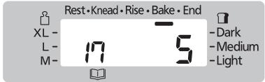 Rest • Knead • Rise • Bake • End XL - L- M- 17 5 - Dark - Medium - Light