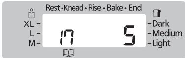 Rest • Knead • Rise • Bake • End XL - L - 17 5 - Dark M - -L - Medium -Light