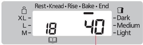Rest • Knead • Rise • Bake • End XL - L - M- 18 40 Dark Medium Light