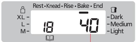 Rest • Knead • Rise • Bake • End XL - L - M- 18 40 Dark Medium Light