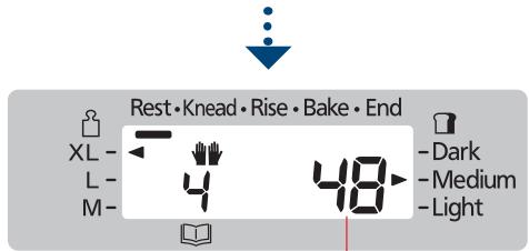 Rest • Knead • Rise • Bake • End XL - 7 4 48 - Dark L - 4 Medium M - 1 Light