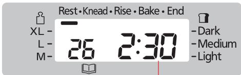 Rest • Knead • Rise • Bake • End XL - L - M- 26 2:30 -Dark -Medium -Light