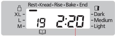 Rest • Knead • Rise • Bake • End XL - L - M- 19 2:20 -Dark -Medium -Light