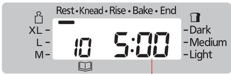 Rest • Knead • Rise • Bake • End XL - L - M- 10 5:00 -Dark -Medium -Light
