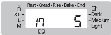 Rest • Knead • Rise • Bake • End XL - L- M- 17 5 -Dark -Medium -Light