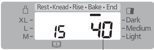Rest • Knead • Rise • Bake • End XL - L - M- 15 40 - Dark - Medium - Light