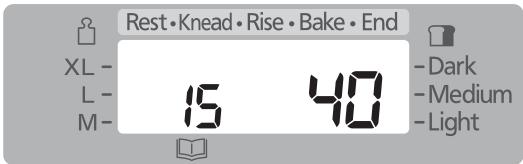 Rest•Knead•Rise•Bake•End XL- L- M- 15 40 - Dark - Medium - Light