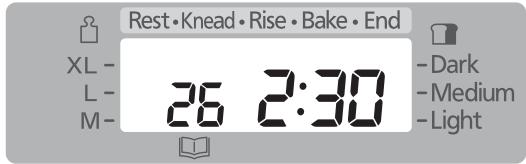Rest • Knead • Rise • Bake • End XL - L- M- 26 2:30 - Dark - Medium - Light