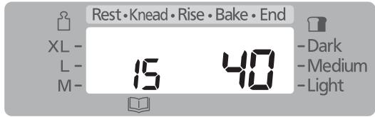 Rest • Knead • Rise • Bake • End XL - L - M- 15 40 - Dark - Medium - Light