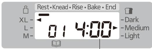 Rest • Knead • Rise • Bake • End XL - L - M - 01 4:00 - Dark - Medium - Light