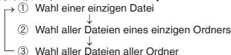 PANASONIC RR-U950 - Sperren aufgezeichneter Dateien (Dateischutz) - 1