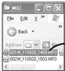 PANASONIC RR-US300 - Importing recording files to a computer - 1