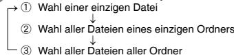 PANASONIC RR-US511 - Sperren aufgezeichnete   Dateien (Dateischutz) - 1