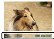 PANASONIC LUMIX DMC-FX9EG - [Print 1 by 1] - 1