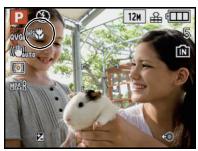 PANASONIC LUMIX DMC-FZ38 - Prises de vues en gros plan - 6