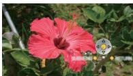 PANASONIC LUMIX DMC-FZ38 - ■ Fonctions utilisables - 2