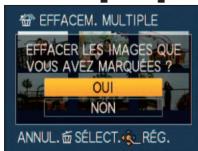 PANASONIC LUMIX DMC-TZ8 - Selectionnez [OUI] - 3