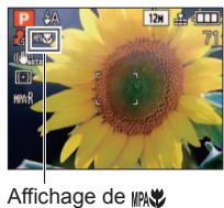 PANASONIC LUMIX DMC-TZ8 - Photographier en gros plan - 2