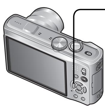 PANASONIC LUMIX DMC-TZ8 - Photographier avec le retardateur - 1