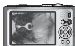 PANASONIC LUMIX DMC-TZ8 - Selectionnez [OUI] - 5