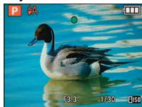 PANASONIC LUMIX DMC-TZ8 - ISO [ISO INTELLIGENT] - 1