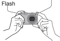 PANASONIC LUMIX DMC-TZ8 - Tenir l'appareil photo - 1