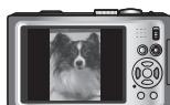 PANASONIC LUMIX DMC-TZ8 - Selectionnez [OUI] - 4
