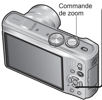 PANASONIC LUMIX DMC-TZ9 - Photographier en gros plan (suite) - 1