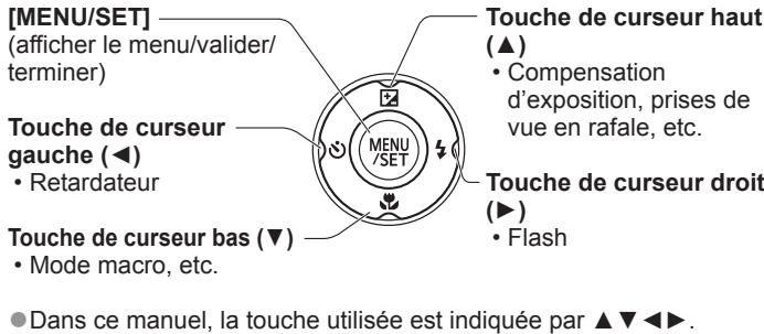 PANASONIC DMC-TZ20 - Touchedecurseur - 1