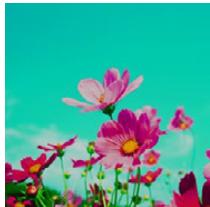 PANASONIC DMCGF6EF - [Kruisproces] - 1