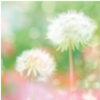 PANASONIC DMCGF6EF - [Zachte focus] - 1