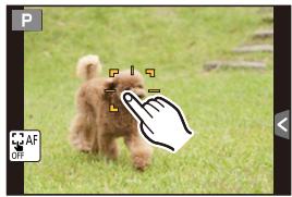 PANASONIC DMCGF6EF - ■ Als het aanraakschem gebruikt worden - 1