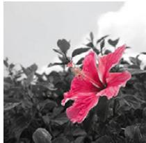 PANASONIC DMCGF6EF - [Kleuraccent] - 1