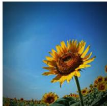 PANASONIC DMCGF6EF - [Speelgoedcameffect] - 1