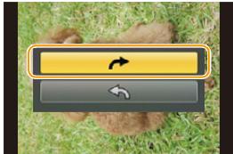 PANASONIC DMCGF6EF - [Roteren] (Het beeld worden handmatig gedraaid) - 1