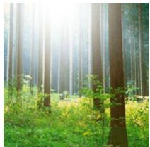 PANASONIC DMCGF6EF - [Zonneschijn] - 1