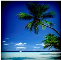 PANASONIC DMCGF6EF - [Speelgoedcamera levendig] - 1