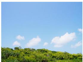 PANASONIC DMCGF6EF - [Blauwelicht] - 1