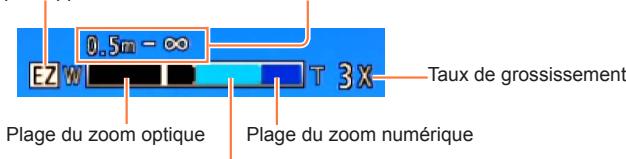 PANASONIC LUMIX DMC-LX7 - ■Pendant l'enregistrement (Pendant une opération de zoom, par exemple) - 1