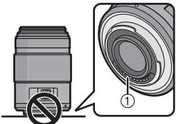 PANASONIC H-PS-45175E - Custodia dell'obiettivo - 1