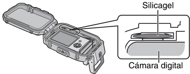 PANASONIC LUMIX DMW-MCFT3E - Notas - 3