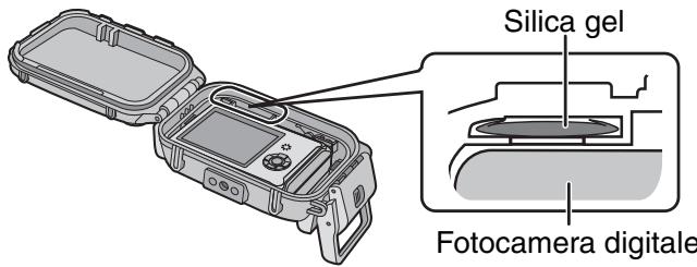 PANASONIC LUMIX DMW-MCFT3E - Note - 3