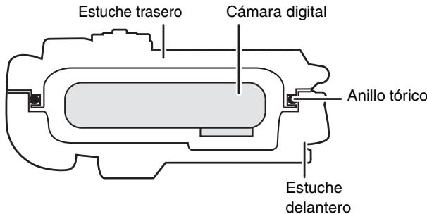 PANASONIC LUMIX DMW-MCFT3E - Cóme el anillo tórico mantiene lo impermeable del estuche - 1