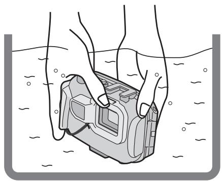 PANASONIC LUMIX DMW-MCFT3E - Note - 1