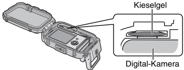 PANASONIC LUMIX DMW-MCFT3E - ■ Hinweise - 3