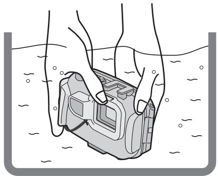 PANASONIC LUMIX DMW-MCFT3E - Notas - 1