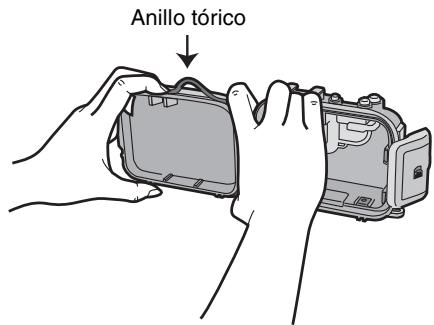 Anillo tórico